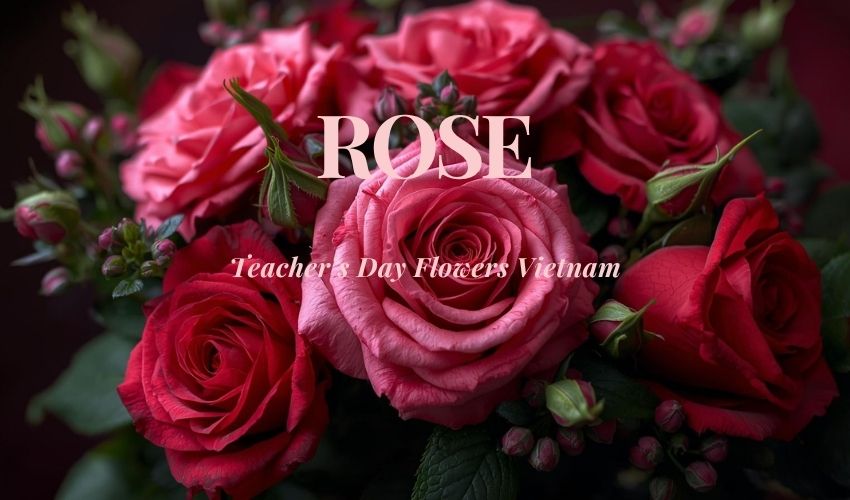 Teacher’s Day Flowers Vietnam