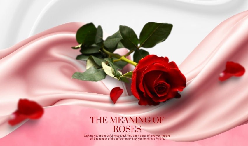 The Meaning of Roses