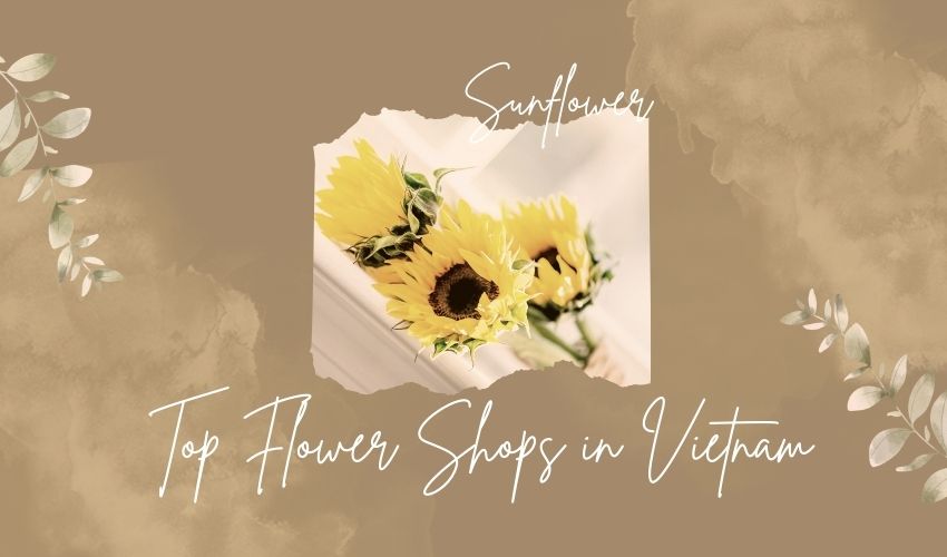 Top Flower Shops in Vietnam