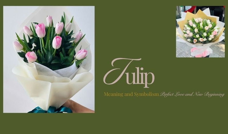 Tulip Meaning and Symbolism: Perfect Love and New Beginnings