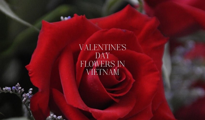 Valentine’s Day Flowers in Vietnam