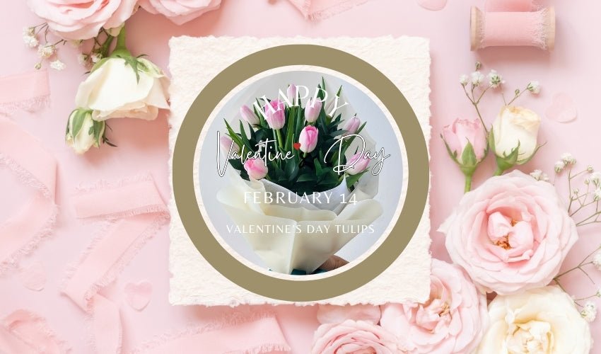 Valentine’s Day Tulips