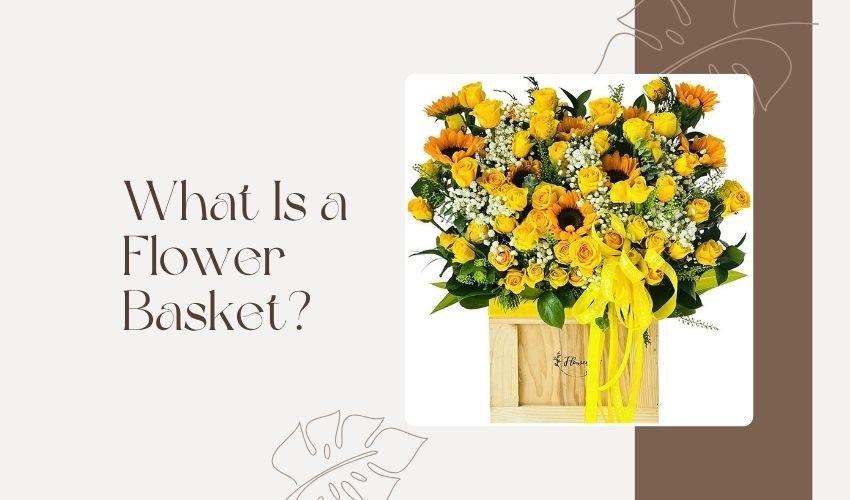 What Is a Flower Basket?