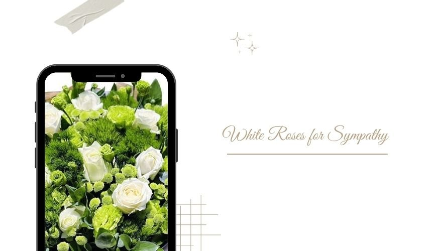 White Roses for Sympathy