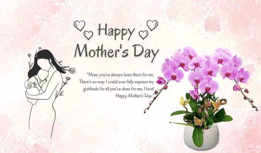 Why Is There Mother’s Day? Origin & History Explained