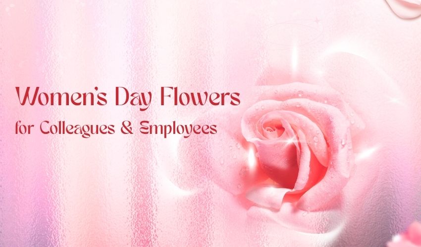 Women’s Day Flowers for Colleagues & Employees