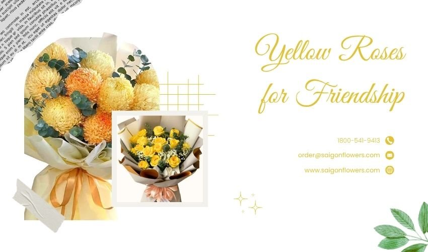 Yellow Roses for Friendship