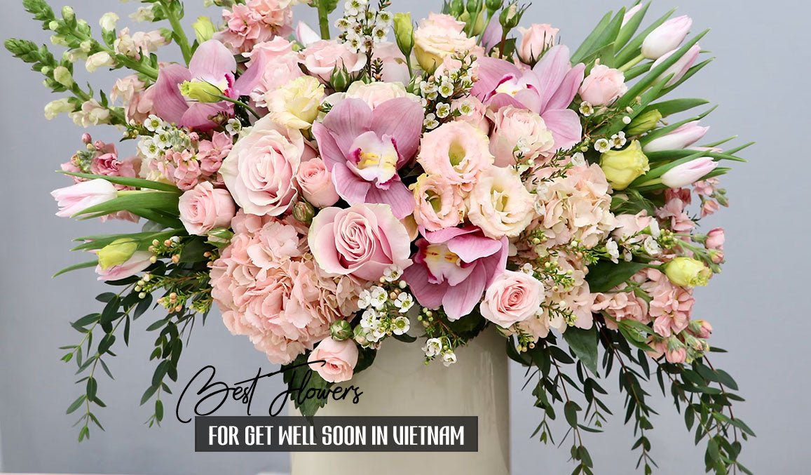 Best Flowers for Get Well Soon in Vietnam