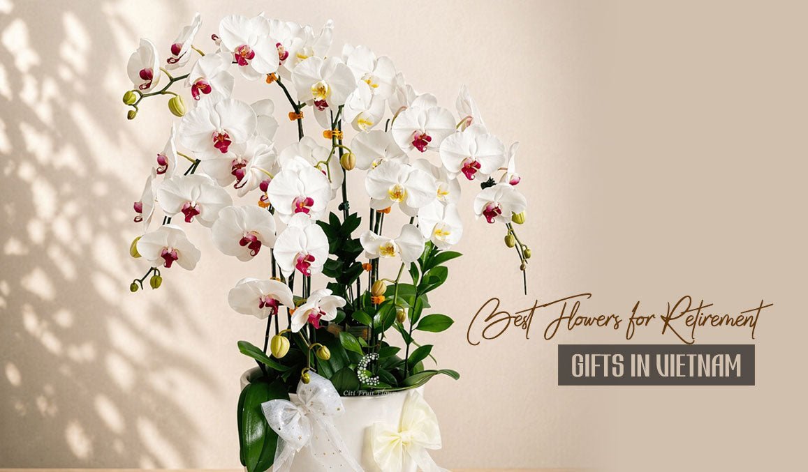 Best Flowers for Retirement Gifts in Vietnam