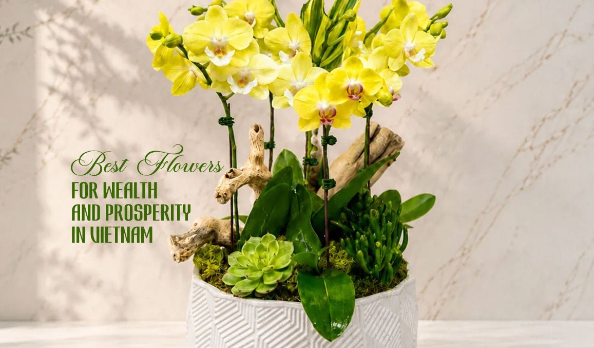 Best Flowers for Wealth and Prosperity in Vietnam