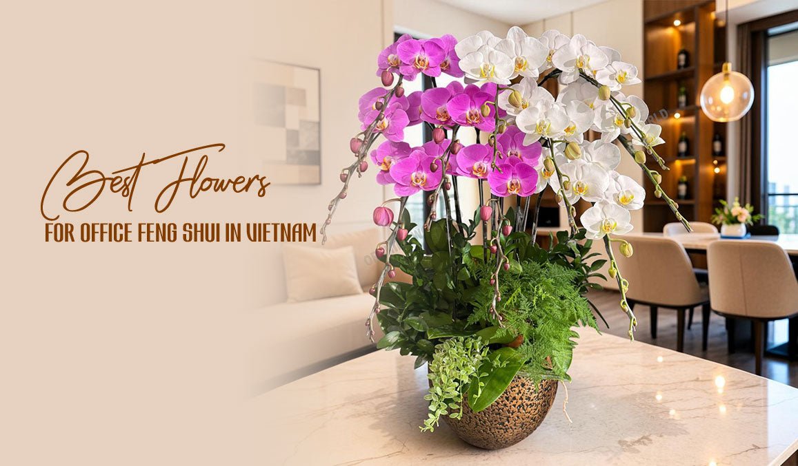 Best Flowers for Office Feng Shui in Vietnam
