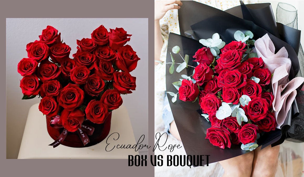 Ecuador Rose Box vs Bouquet