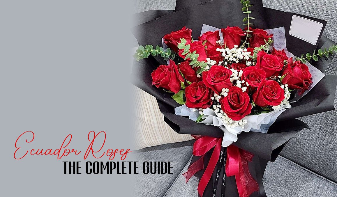 Ecuador Roses The Complete Guide