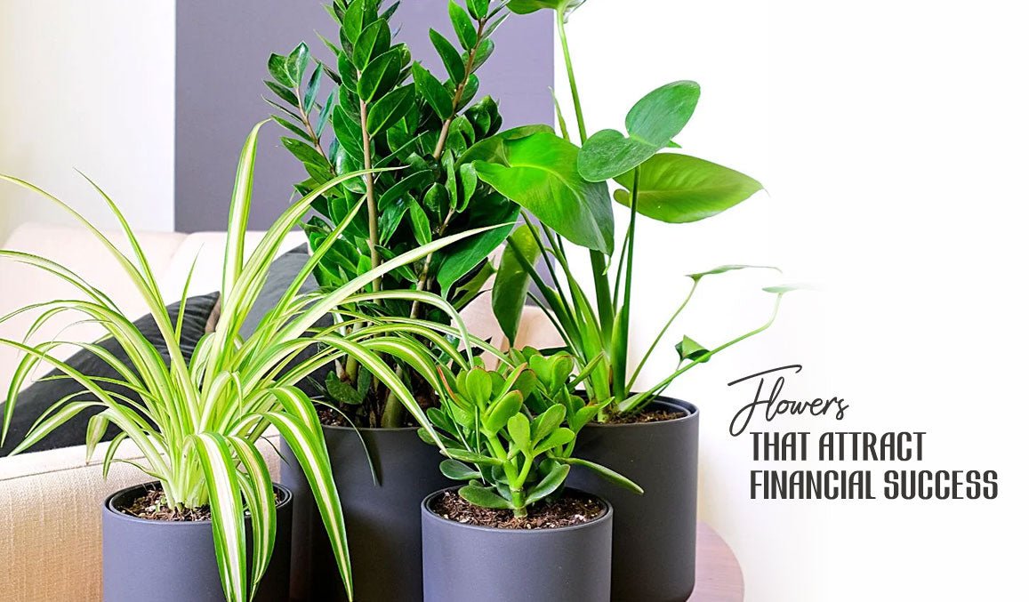 Flowers That Attract Financial Success