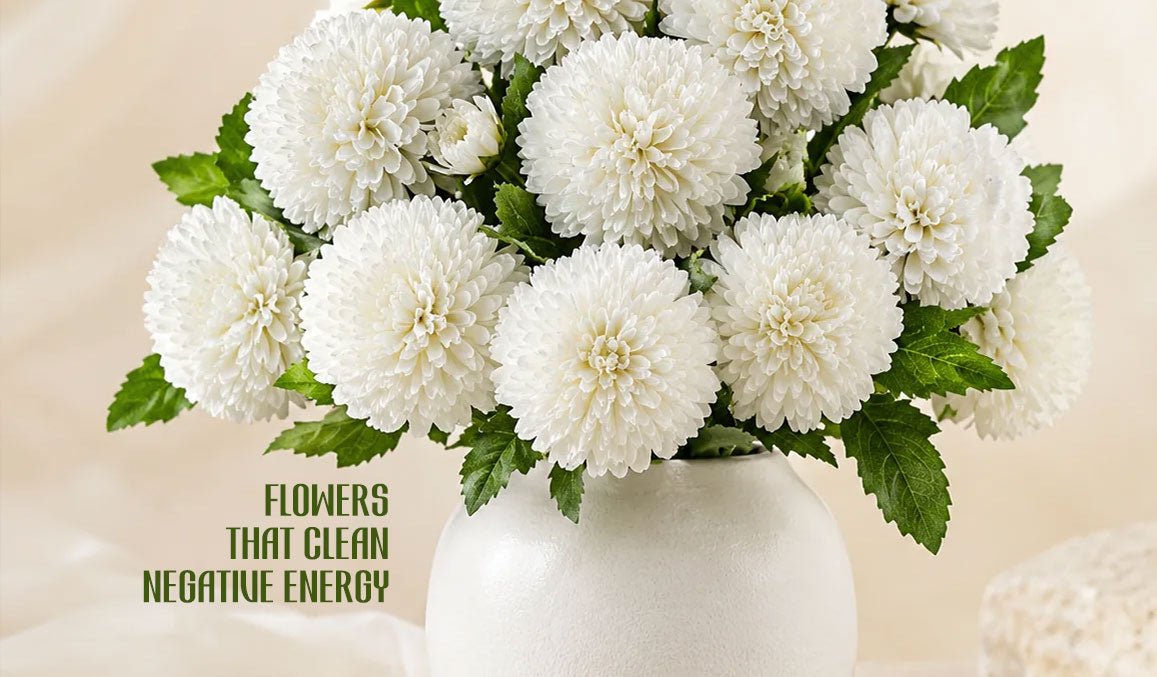 Flowers That Clean Negative Energy