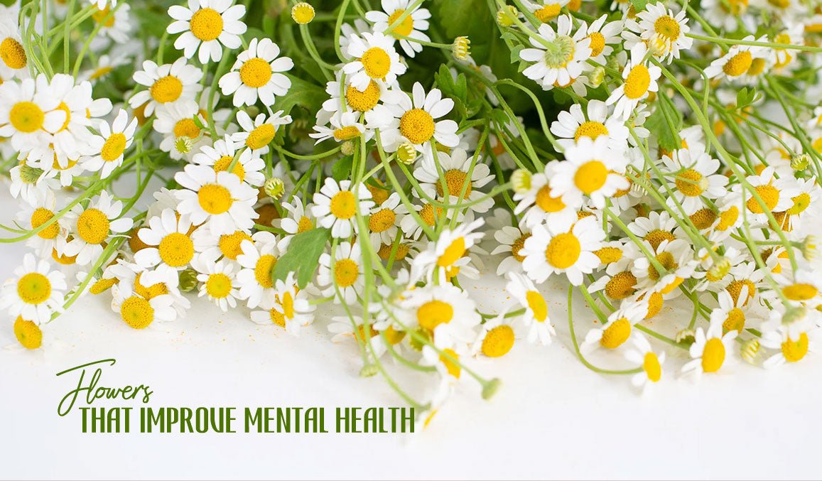 Flowers That Improve Mental Health