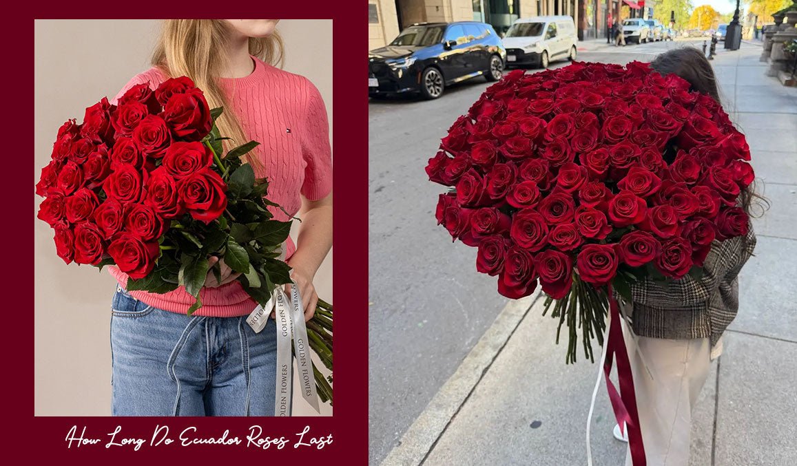 How Long Do Ecuador Roses Last
