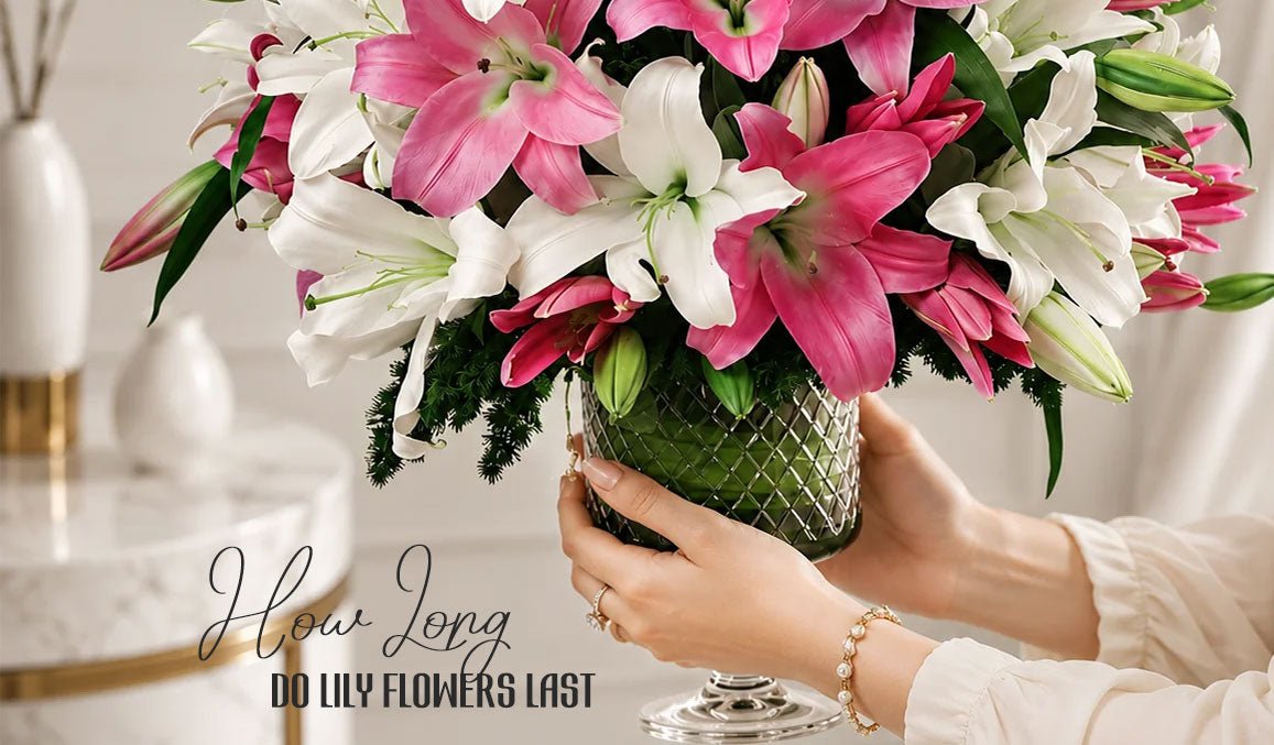 How Long Do Lily Flowers Last