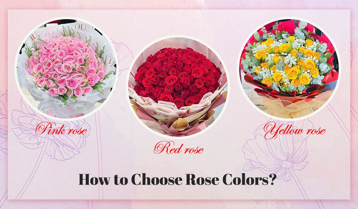 How to Choose Rose Colors