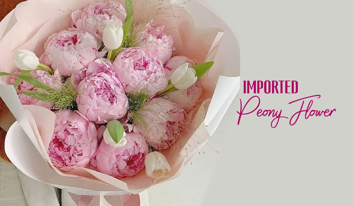 Imported Peony Flowers