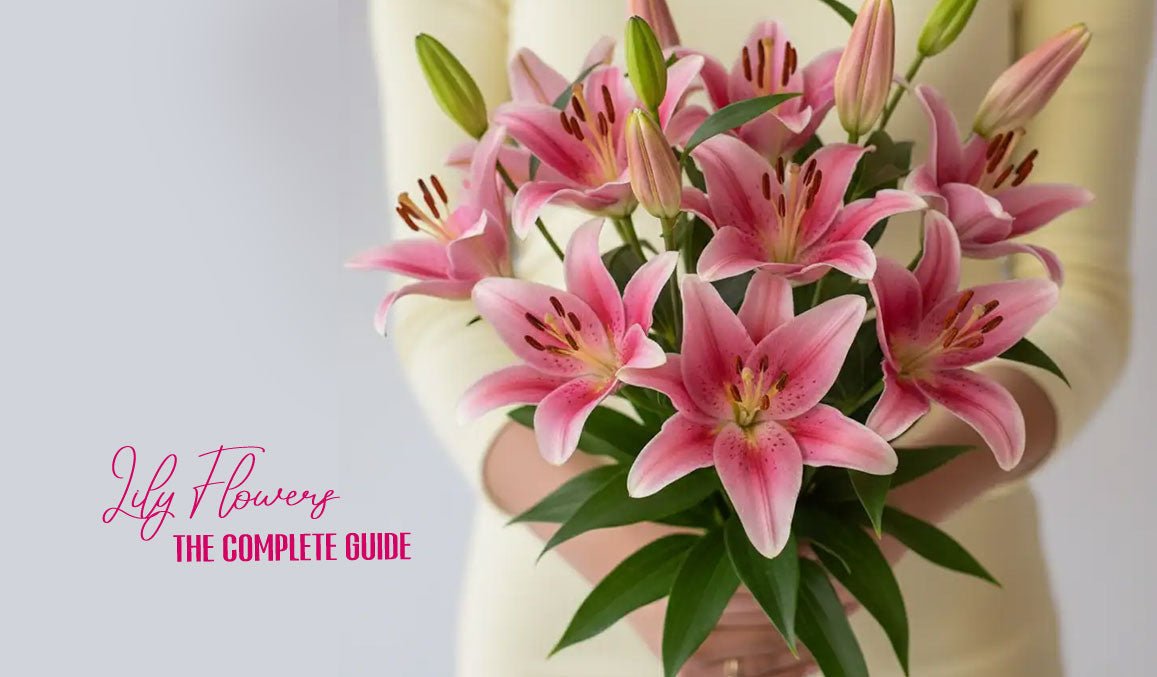 Lily Flowers The Complete Guide