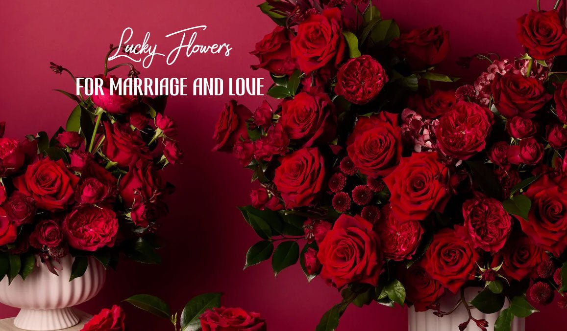 Lucky Flowers for Marriage and Love
