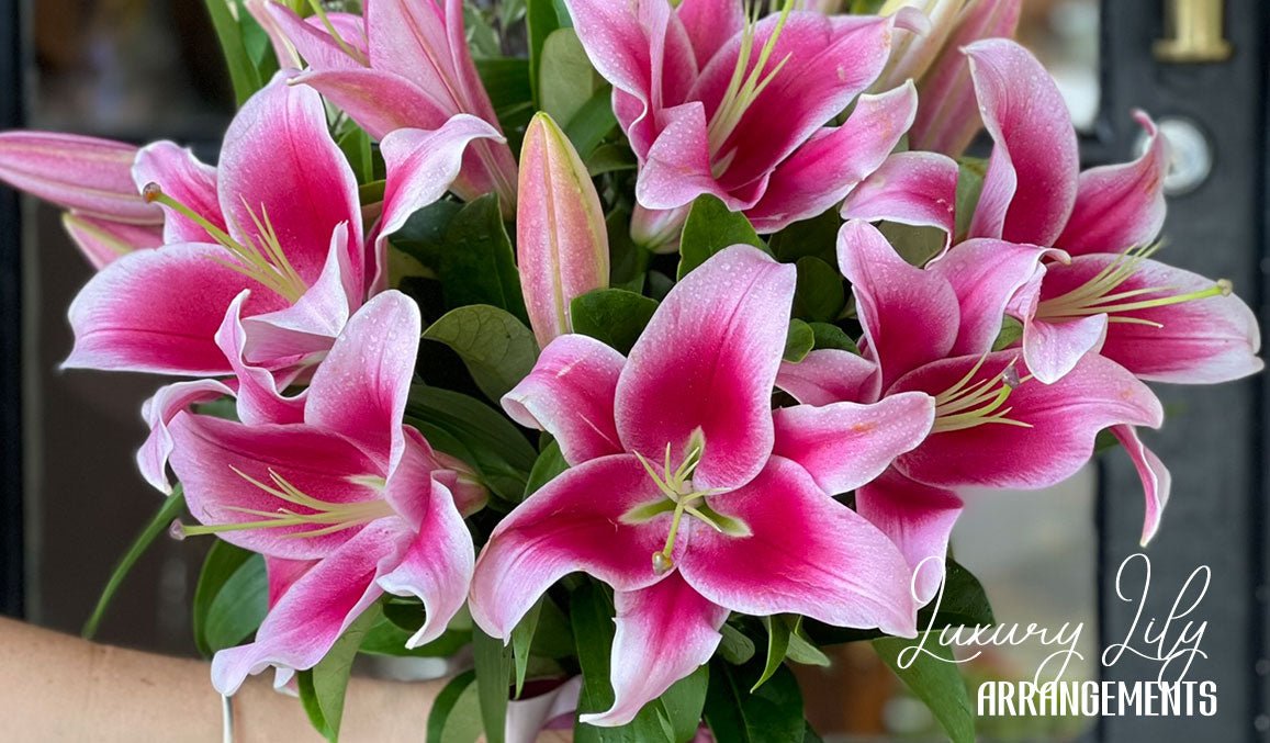 Luxury Lily Arrangements