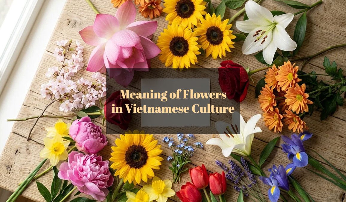 Meaning of Flowers in Vietnamese Culture
