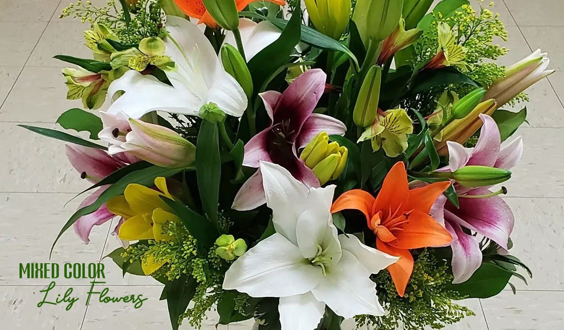 Mixed Color Lily Flowers