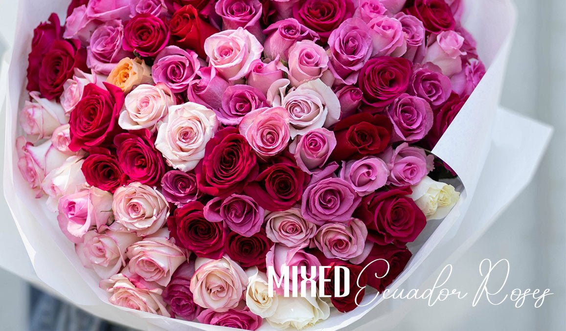 Mixed Ecuador Roses