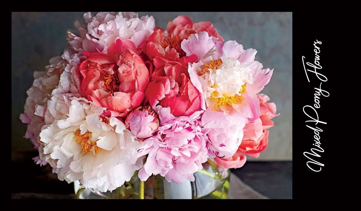 Mixed Peony Flowers
