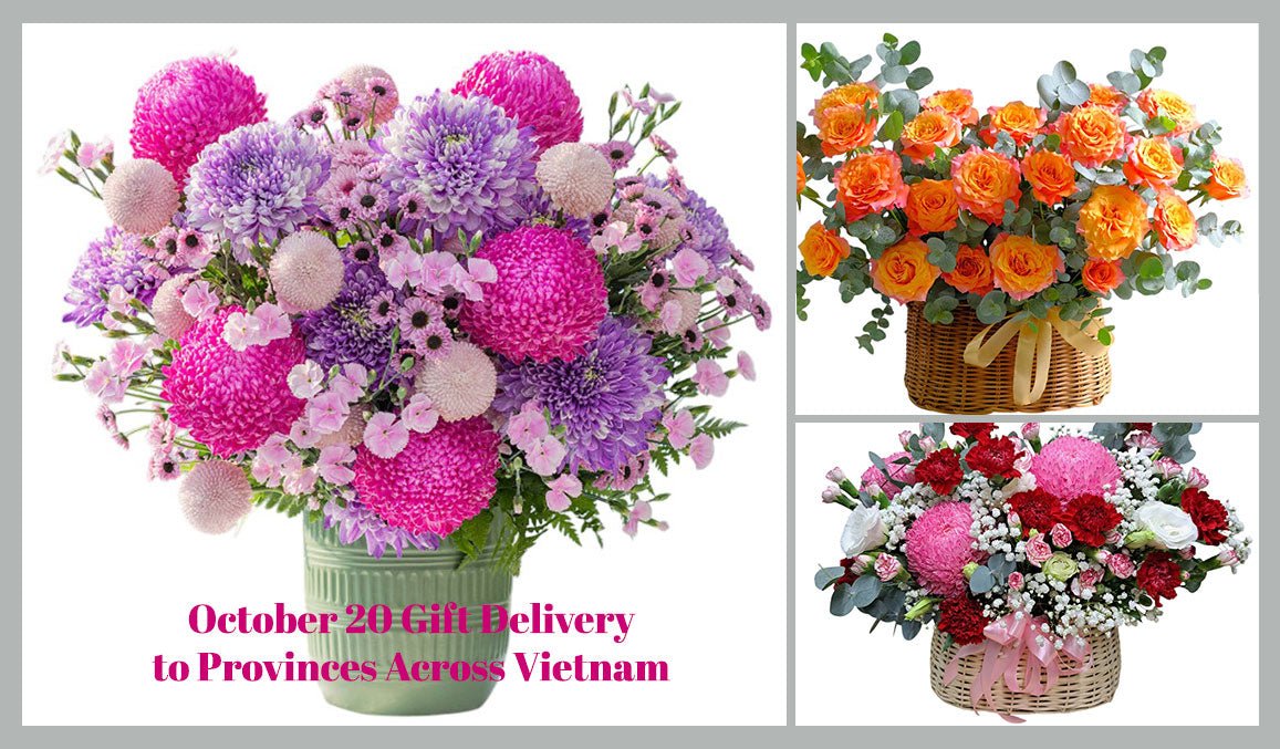 October 20 Gift Delivery to Provinces Across Vietnam
