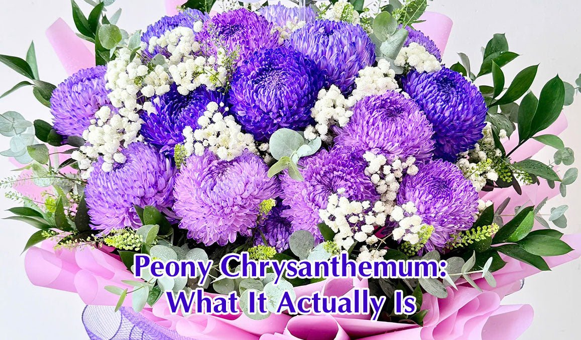 Peony Chrysanthemum What It Actually Is