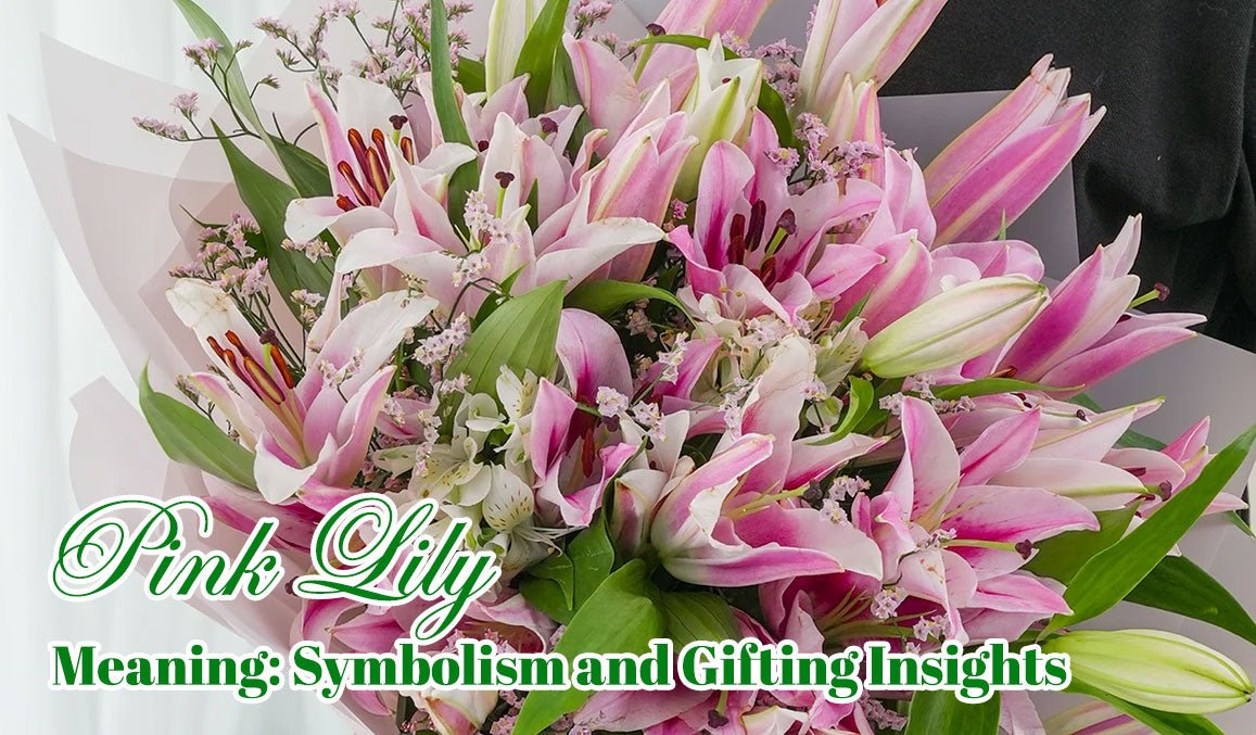 Pink Lily Meaning Symbolism