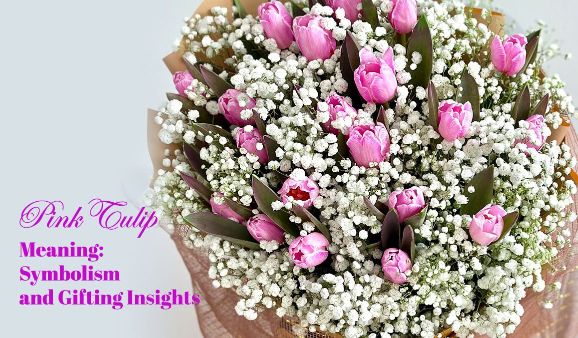 Pink Tulip Meaning