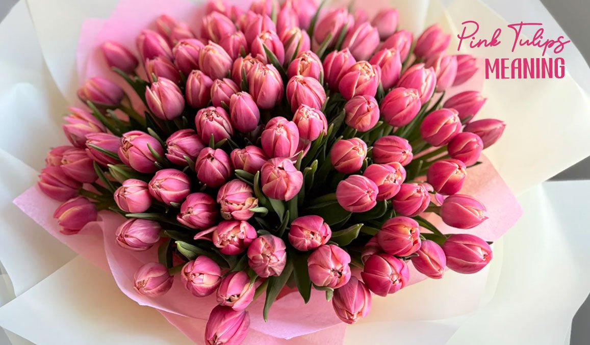 Pink Tulips Meaning