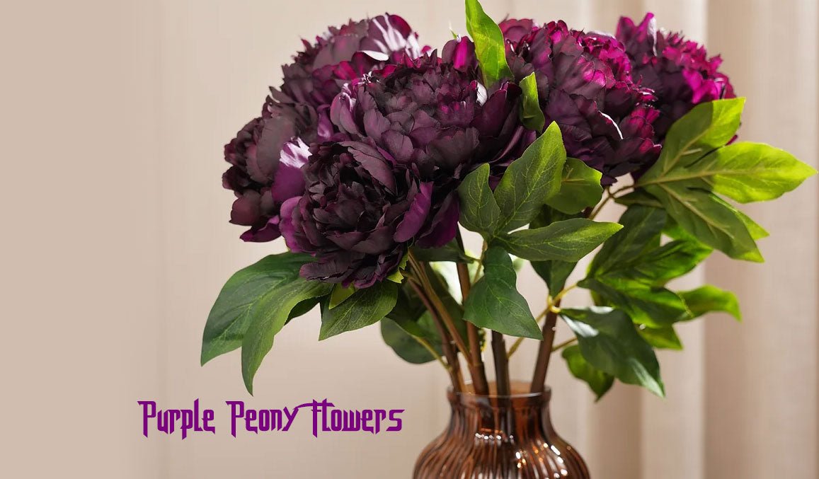 Purple Peony Flowers