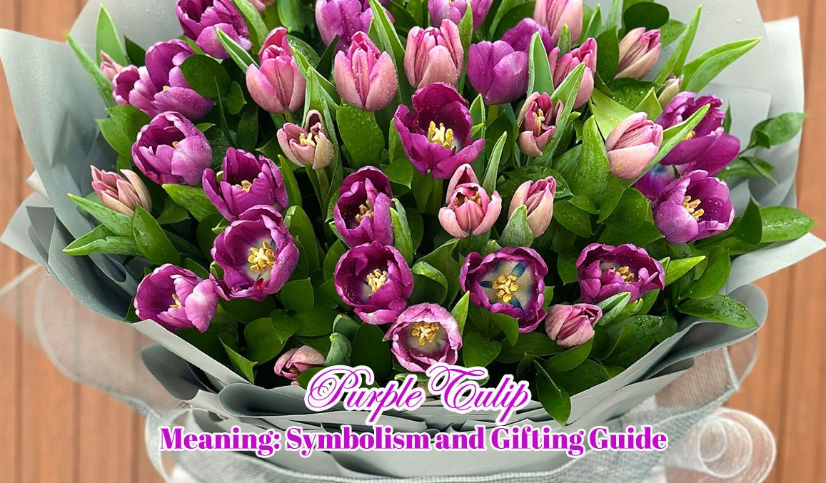 Purple Tulip Meaning
