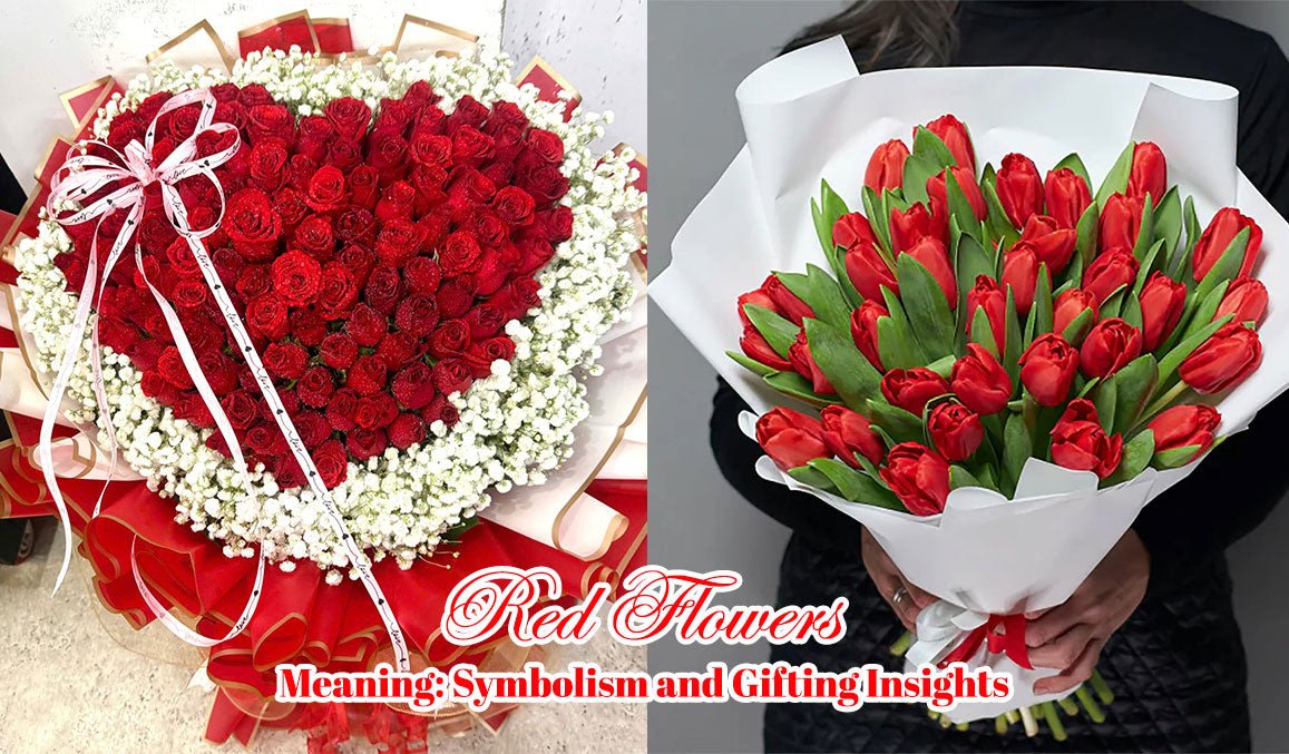 Red Flowers Meaning Symbolism