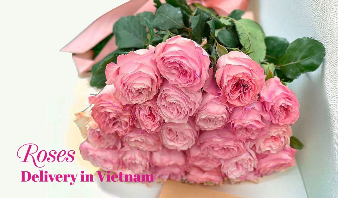 Roses Delivery in Vietnam