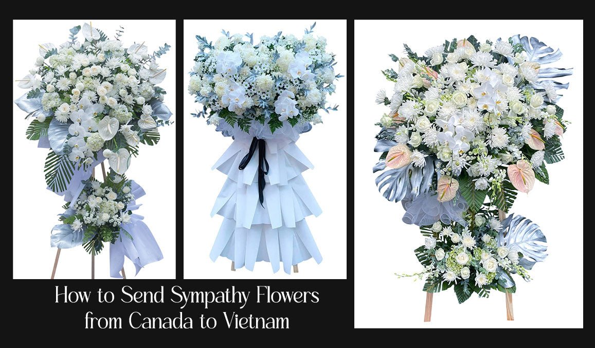 How to Send Sympathy Flowers from Canada to Vietnam