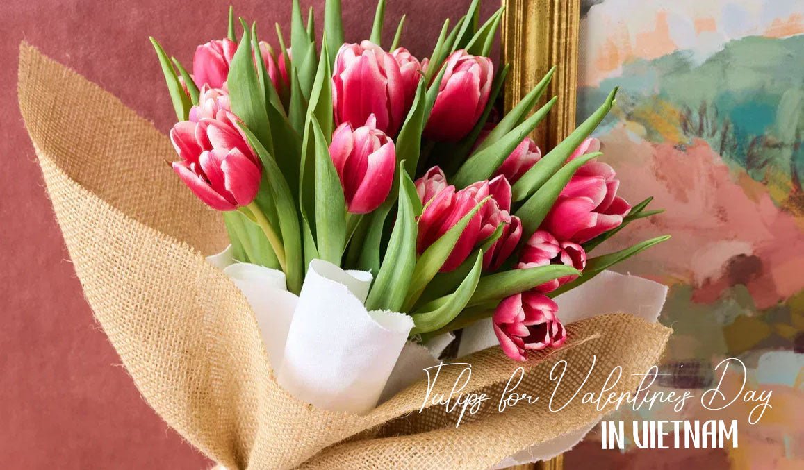 Tulips for Valentine's Day in Vietnam