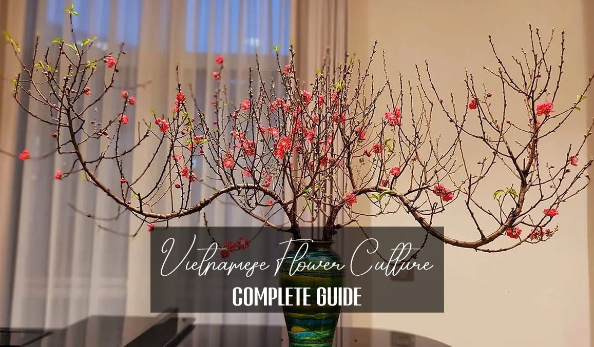 Vietnamese Flower Culture Complete Guide
