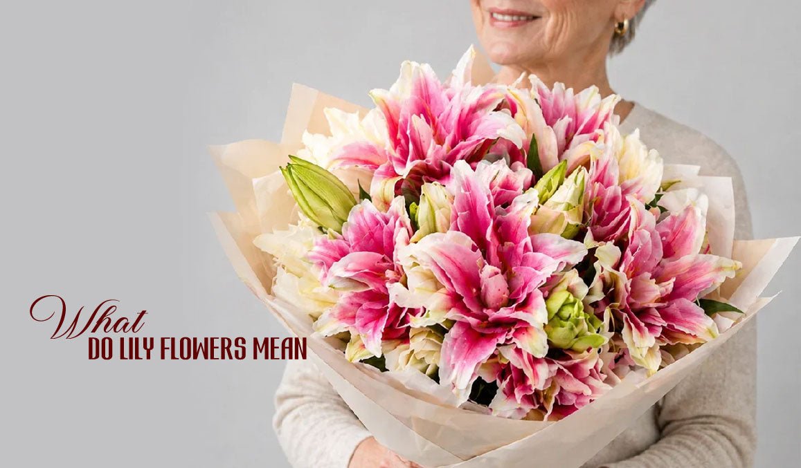 What Do Lily Flowers Mean