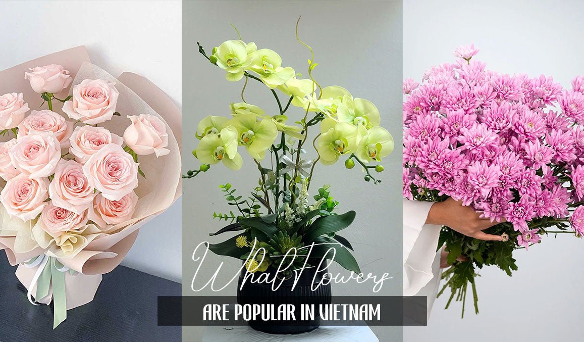 What Flowers Are Popular in Vietnam