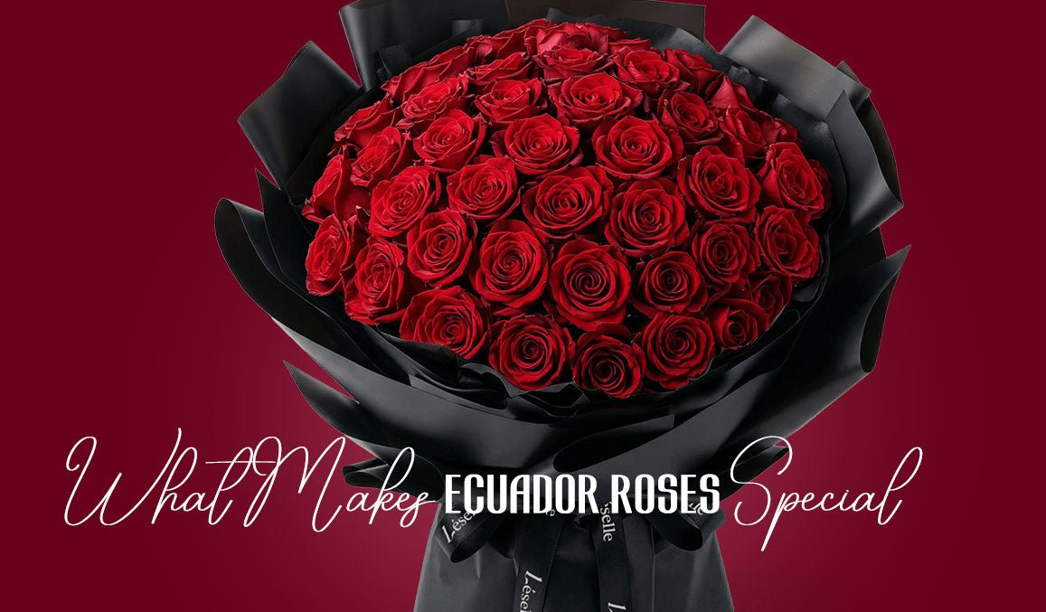 What Makes Ecuador Roses Special