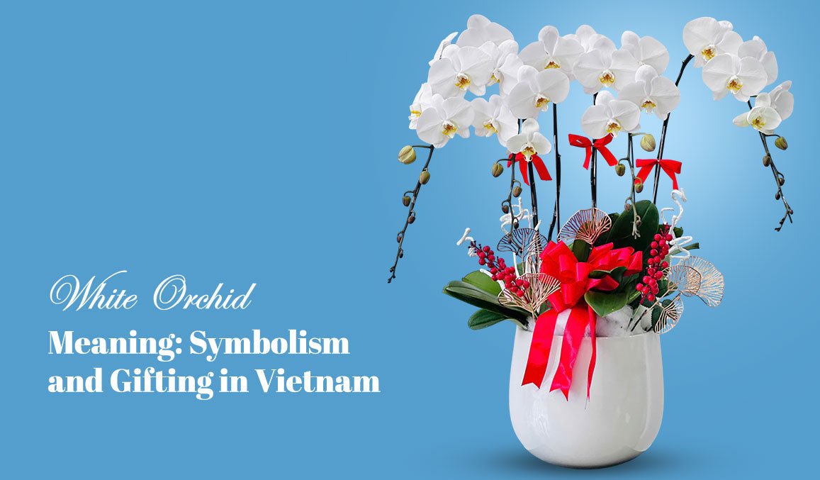 White Orchid Meaning