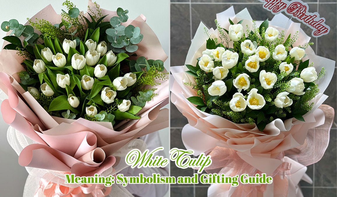 White Tulip Meaning