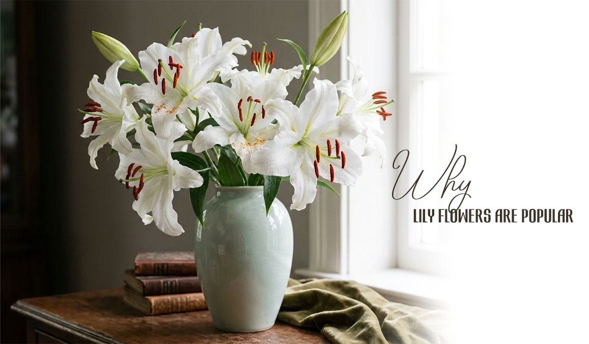 Why Lily Flowers Are Popular