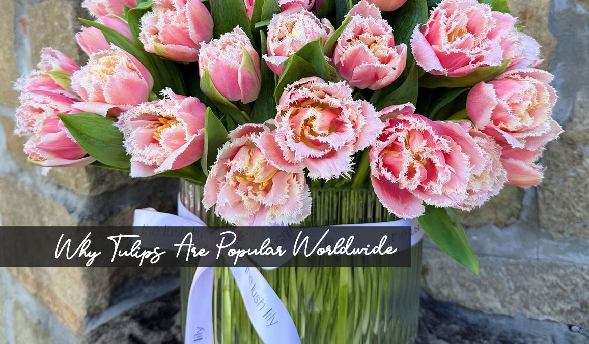 Why Tulips Are Popular Worldwide